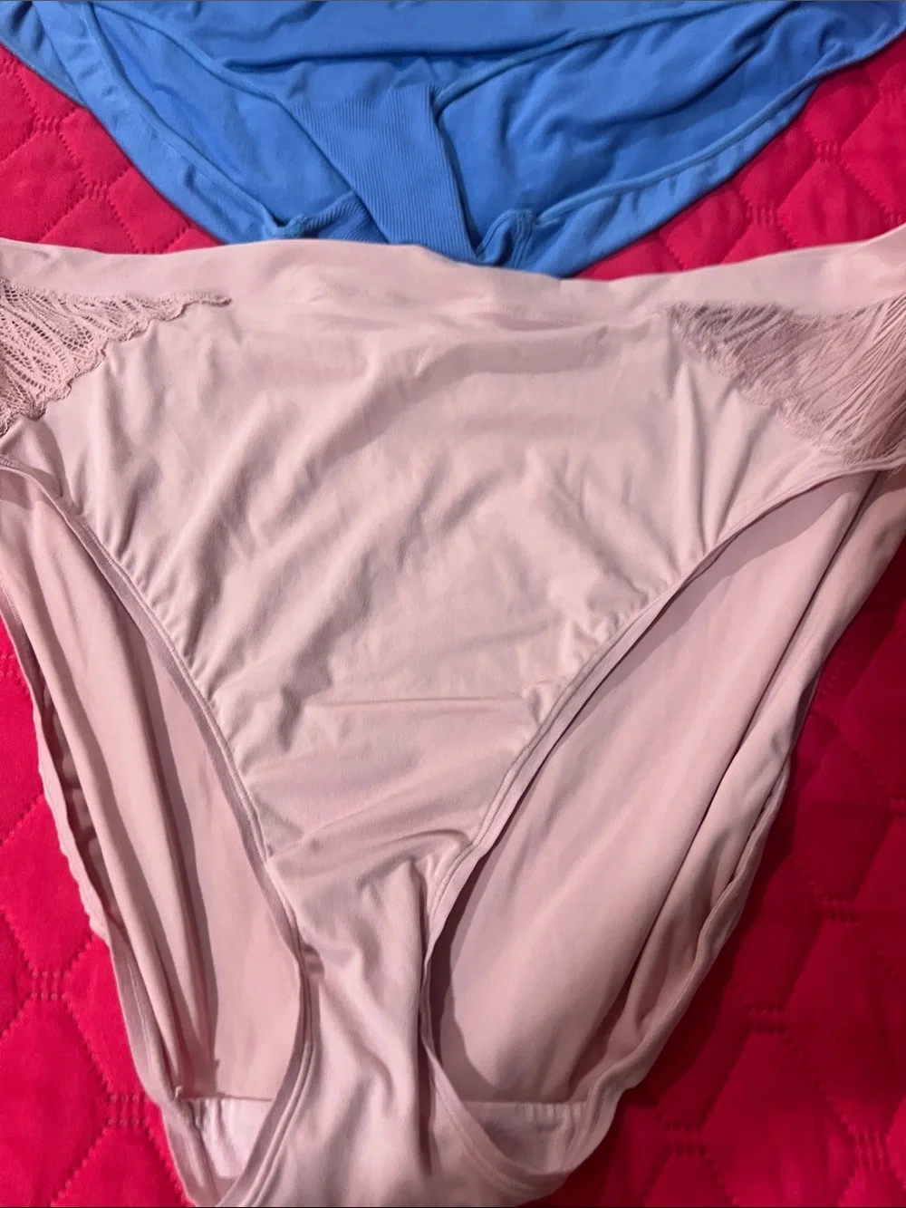 Ambrielle Lace-Trim Bikini Briefs - Plum, Blush, Blue
